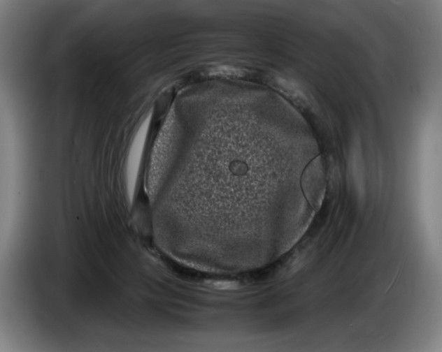 X0000085230649200703301726