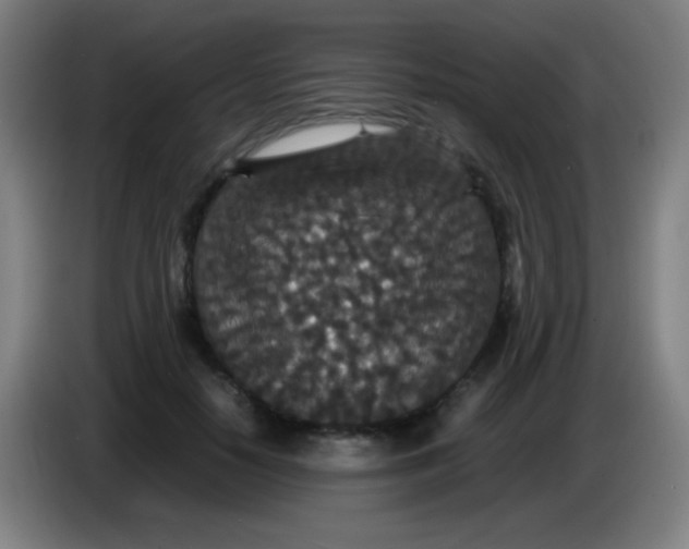 X0000085230650200703301726