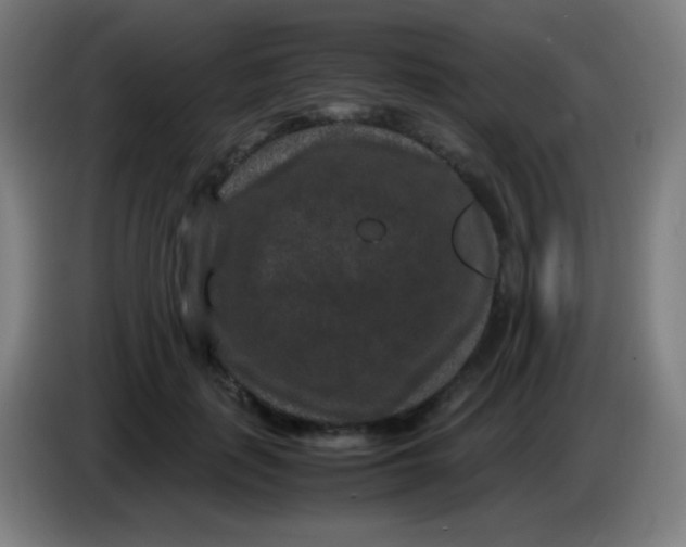 X0000085230651200703301726