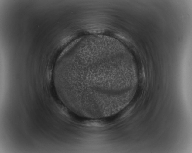 X0000085230652200703301726
