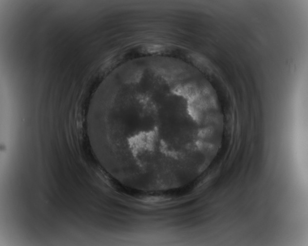 X0000085230653200703301726