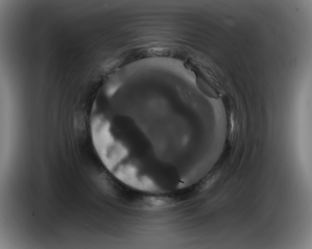 X0000085230654200703301726