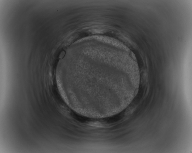 X0000085230655200703301726