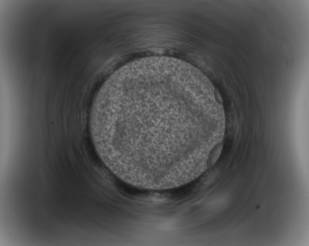 X0000085230656200703301726