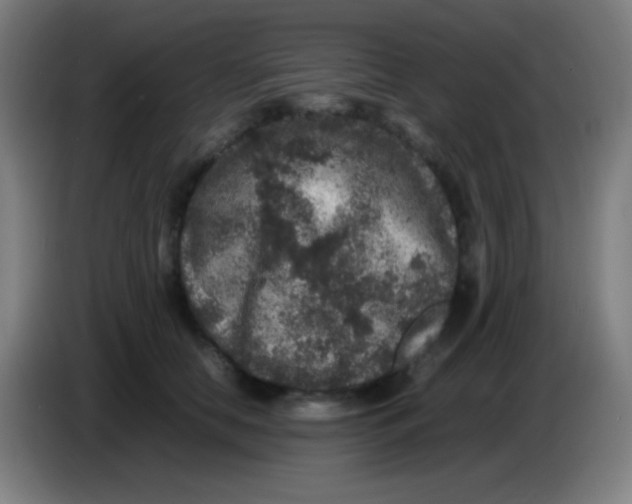 X0000085230658200703301726