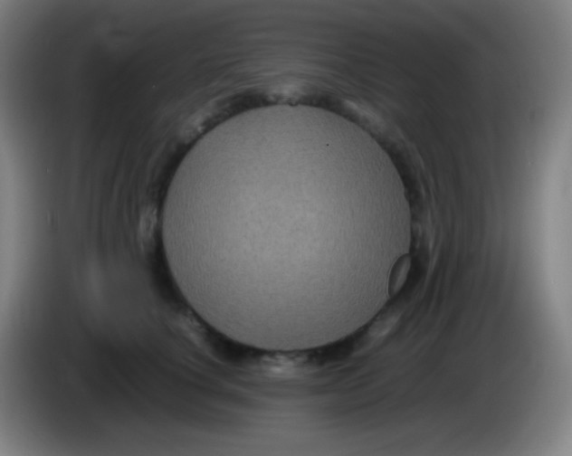X0000085230660200703301726