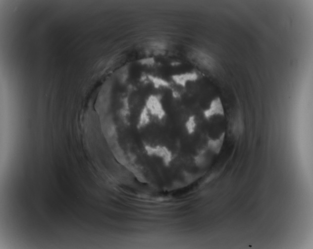 X0000085230661200703301726