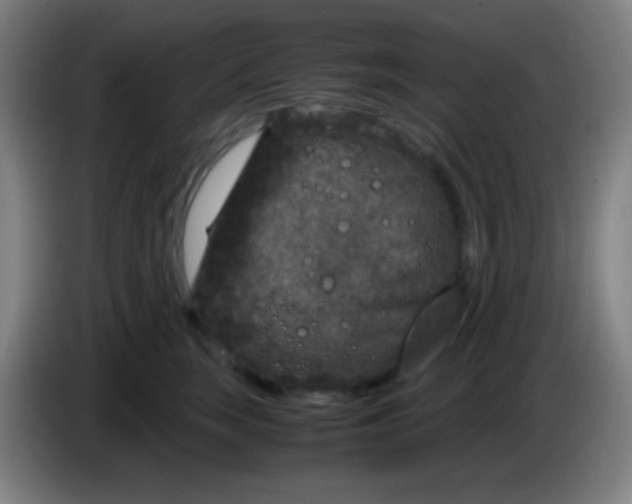 X0000085230663200703301726