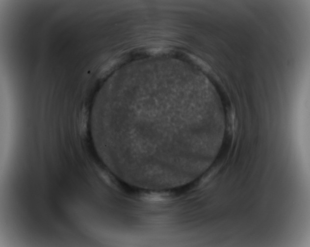 X0000085230664200703301726