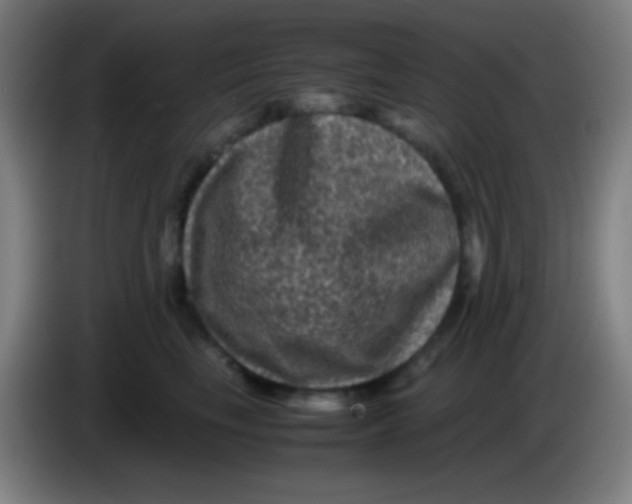 X0000085230665200703301726