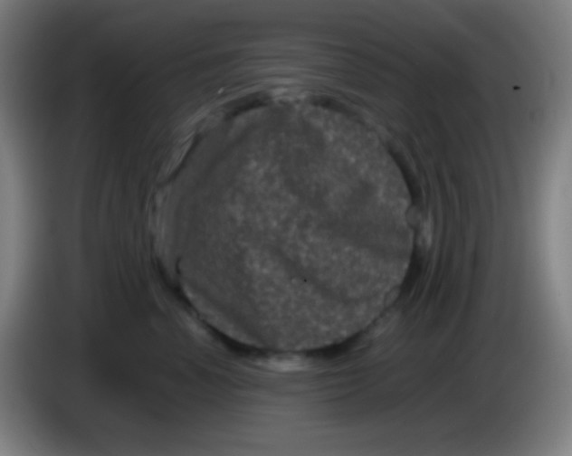 X0000085230666200703301726