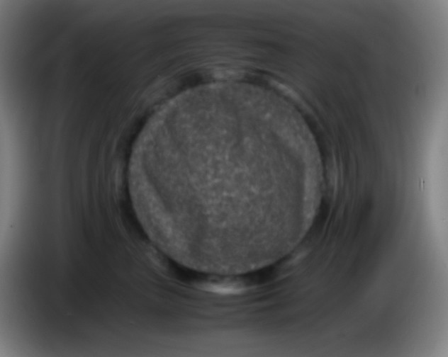 X0000085230667200703301726