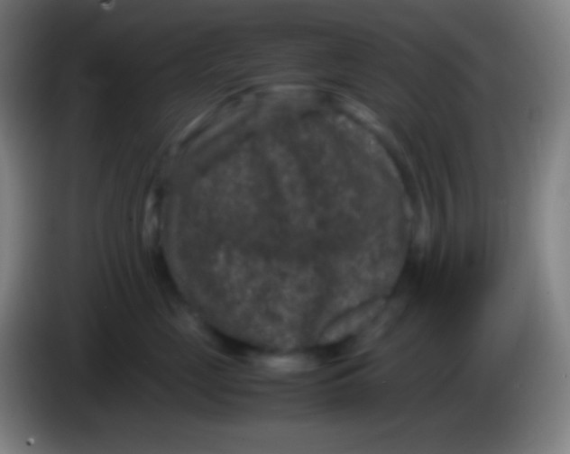 X0000085230669200703301726