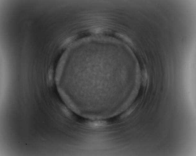 X0000085230670200703301726