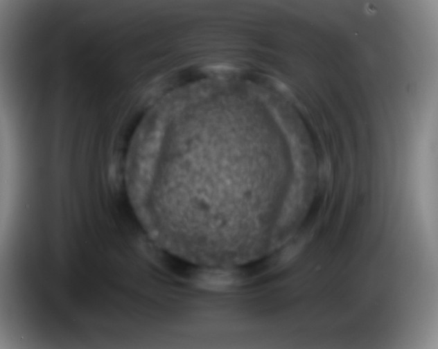 X0000085230671200703301726