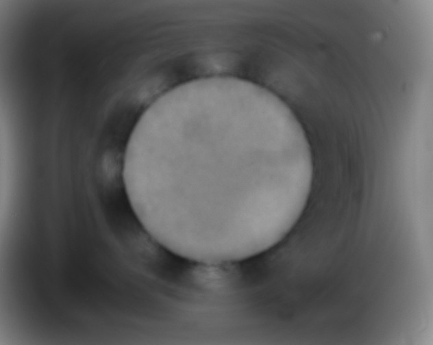 X0000085230672200703301726