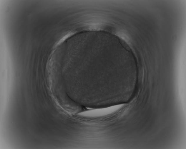 X0000085230673200703301726