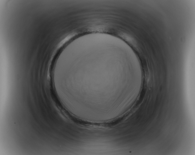 X0000085230674200703301726