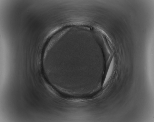 X0000085230677200703301726