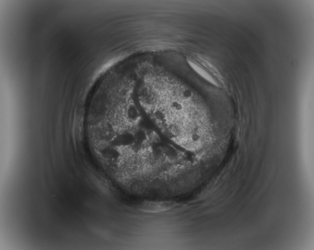 X0000085230679200703301726