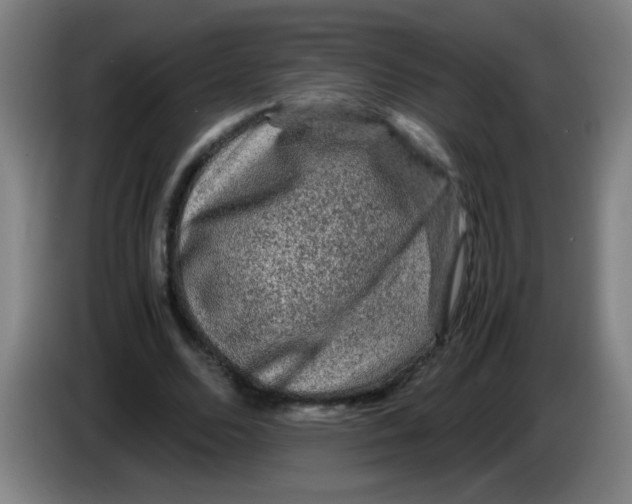 X0000085230680200703301726