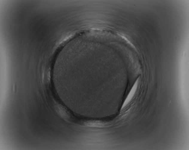 X0000085230685200703301726