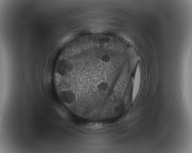 X0000085230687200703301726