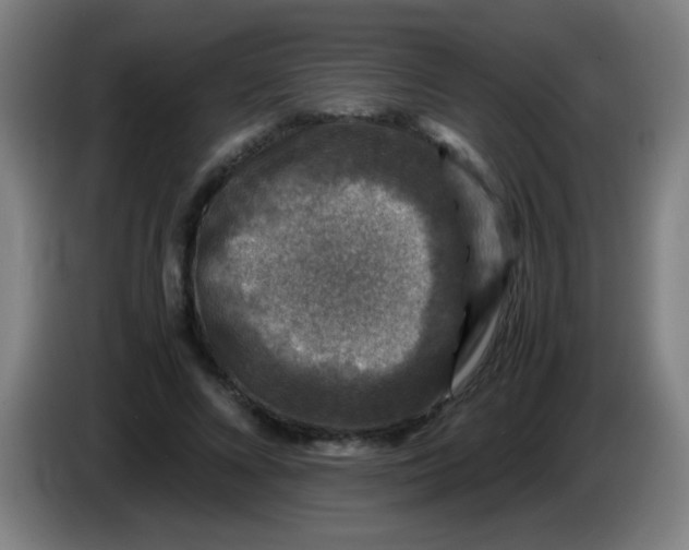 X0000085230688200703301726