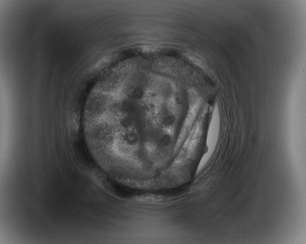 X0000085230691200703301726