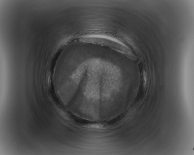 X0000085230692200703301726