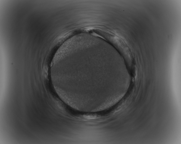 X0000085230693200703301726