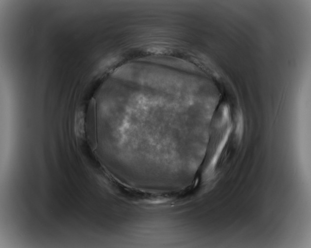 X0000085230696200703301725