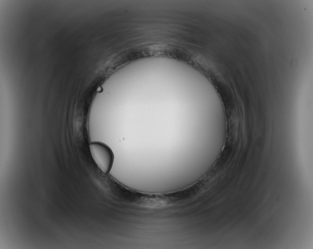 X0000085230698200703301725