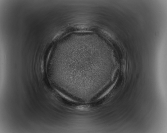 X0000085230700200703301725