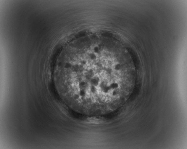X0000085230703200703301725