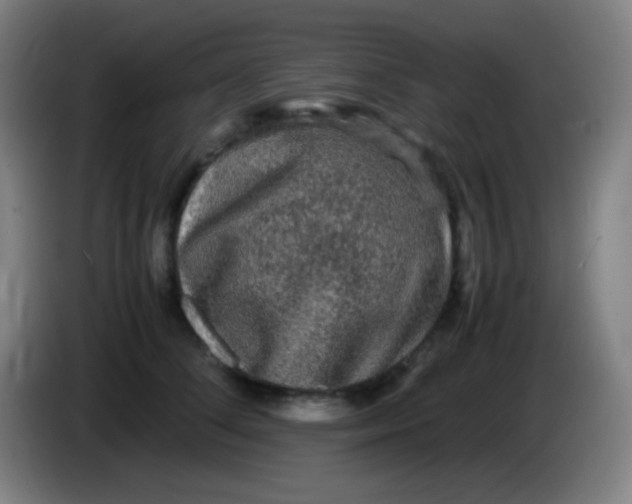 X0000085230708200703301725
