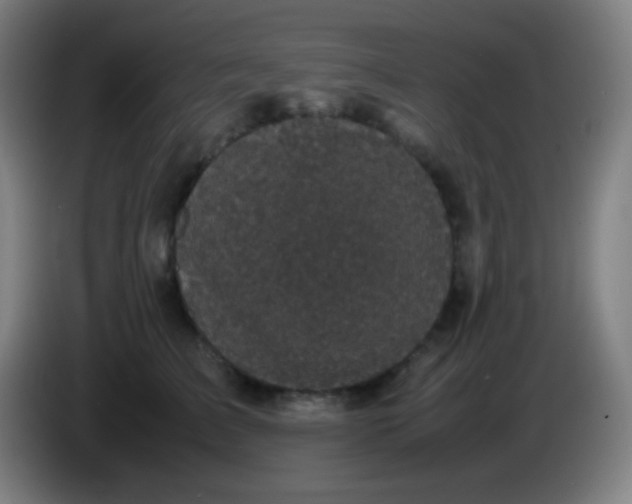X0000085230709200703301725