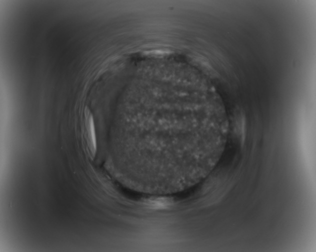 X0000085230711200703301725