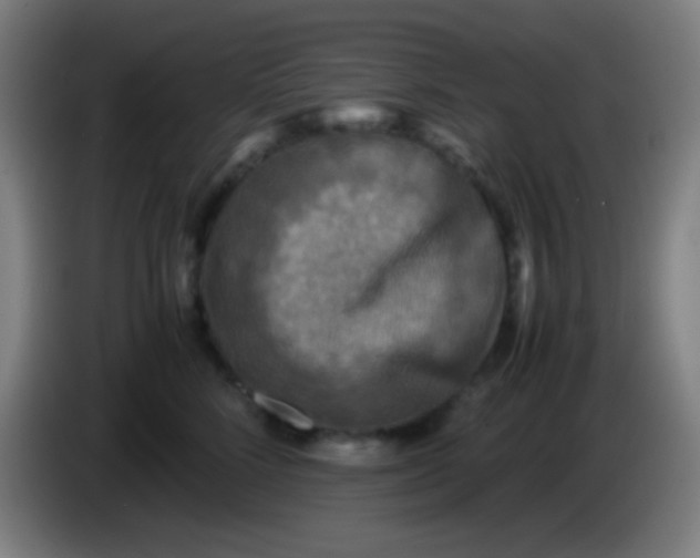 X0000085230712200703301725