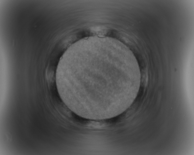 X0000085230713200703301725
