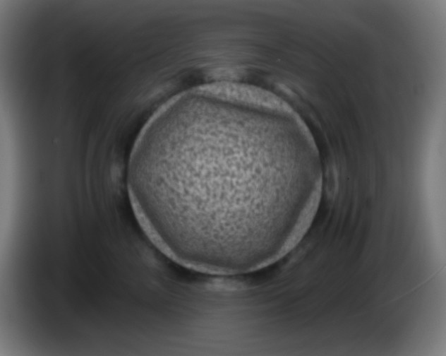 X0000085230714200703301725