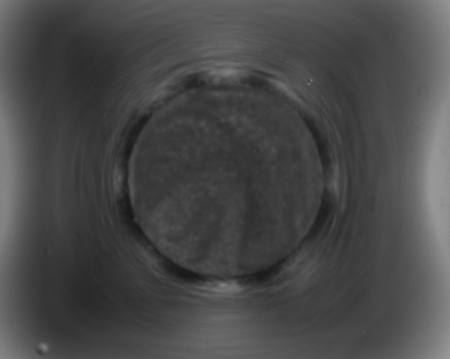 X0000085230715200703301725