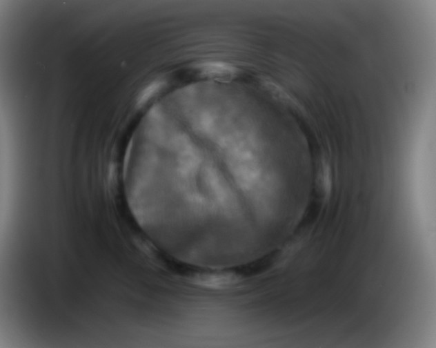 X0000085230716200703301725