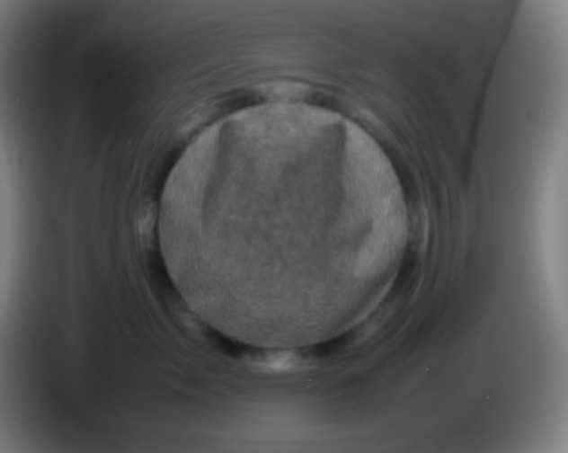X0000085230717200703301725