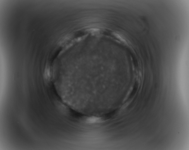 X0000085230718200703301725