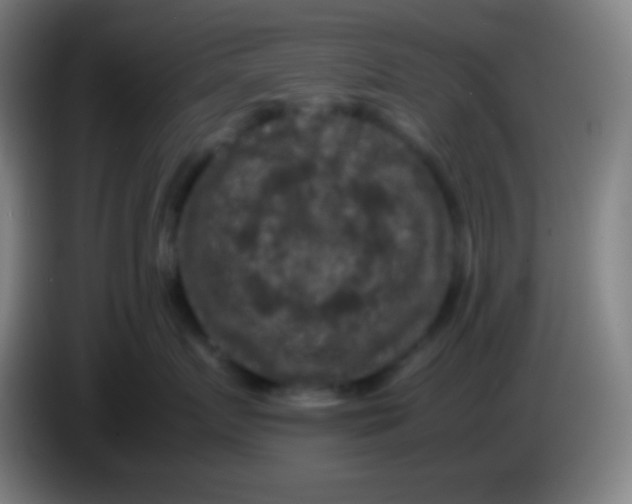 X0000085230719200703301725