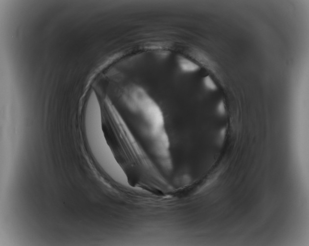 X0000085230721200703301724