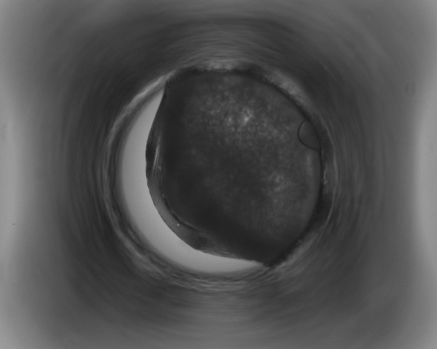 X0000085230722200703301724
