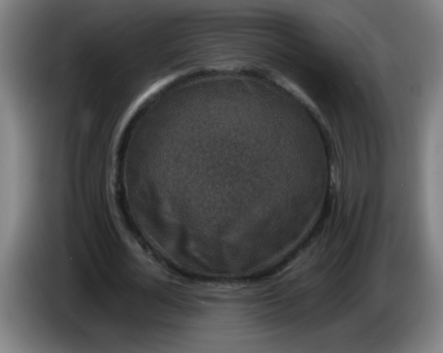 X0000085230724200703301725