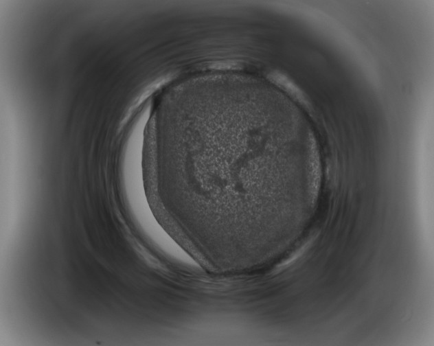 X0000085230725200703301725